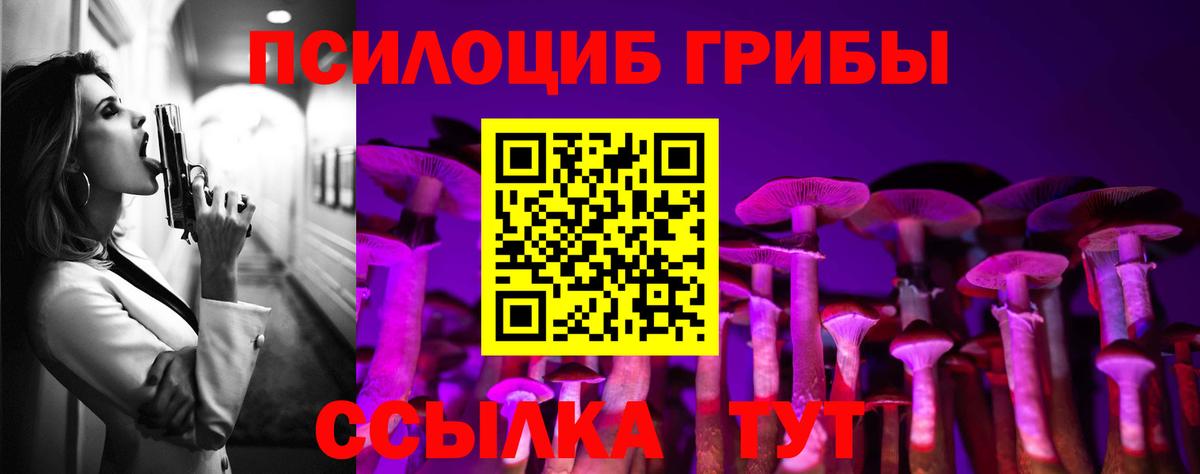 Галлюциногенные грибы GOLDEN TEACHER  Вход с VPN  Оренбург 